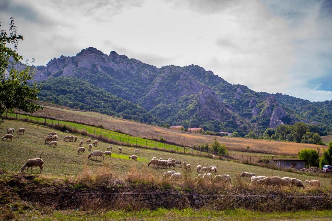 Spazio Natura Castelmezzano Dış mekan fotoğraf